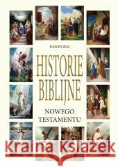 Historie Biblijne Nowego Testamentu Dawid Sem 9788381015295