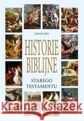 Historie Biblijne Starego Testamentu Dawid Sem 9788381015516