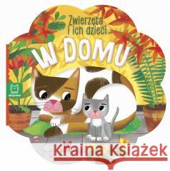 Zwierzęta i ich dzieci. W domu Sylwia Kajdana 9788381067065