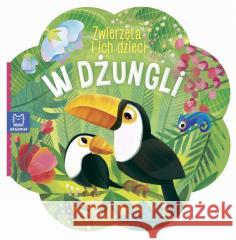 Zwierzęta i ich dzieci. W dżungli Sylwia Kajdana 9788381067072