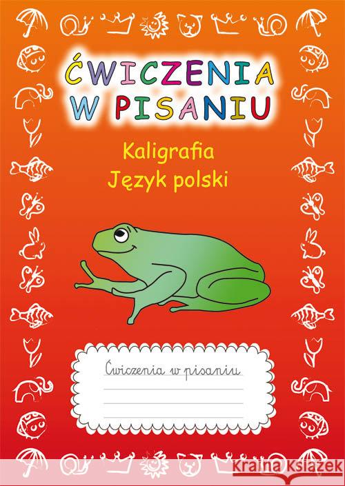 Ćwiczenia w pisaniu Kaligrafia Język polski Guzowska Beata 9788381144377 Literat