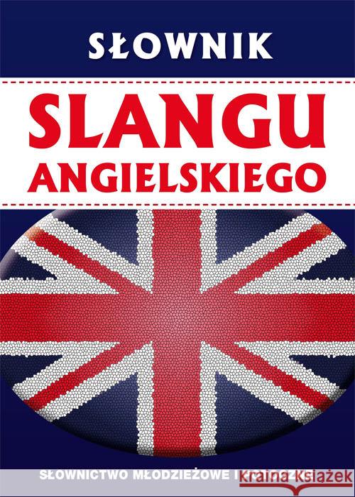Słownik slangu angielskiego Strzeszewska Anna Beynon David 9788381145206 Literat