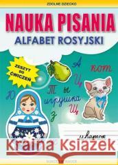 Nauka pisania. Alfabet rosyjski Guzowska Beata 9788381146470 Literat