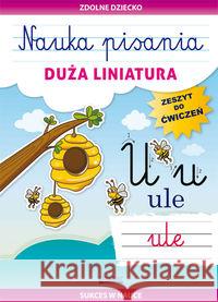 Nauka pisania Duża liniatura Guzowska Beata 9788381146531 Literat