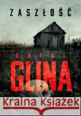 Podkomisarz Jacek Okoński T.3 Zaszłość Rafał Glina 9788381326902