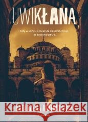 Komisarz Tymon Hanter T.4 Uwikłana Katarzyna Wolwowicz 9788381327671