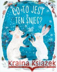 Co to jest ten śnieg? Yuval Zommer, Yuval Zommer, Katarzyna Biegańska 9788381413756