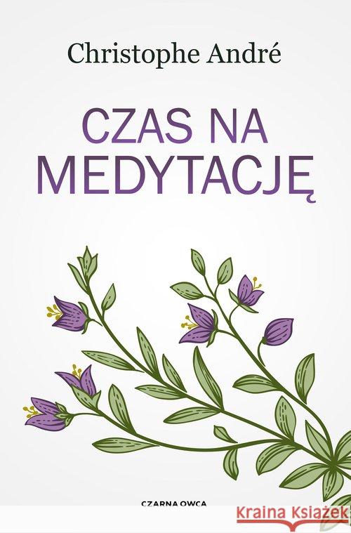 Czas na medytację Andre Christophe 9788381436038