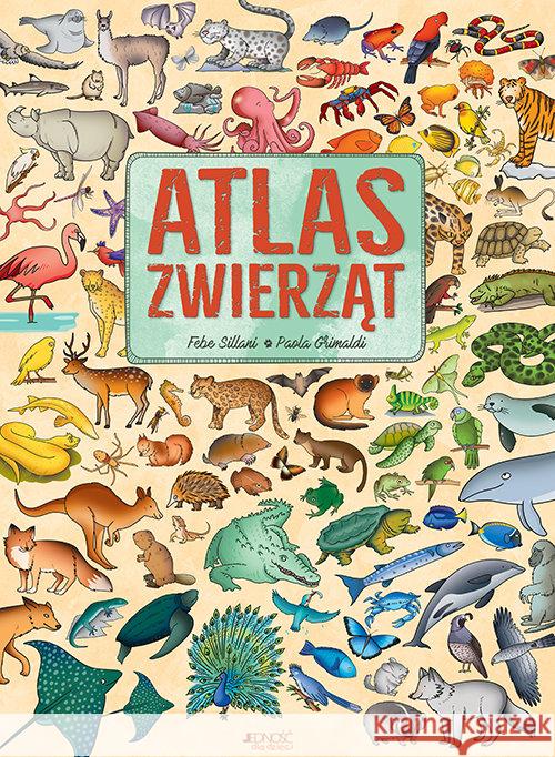 Atlas zwierząt Grimaldi Paola 9788381442213 Jedność