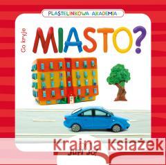 Plastelinkowa akademia. Co kryje miasto? Magdalena Młodnicka, Paulina Koniuk-Fonżychowska 9788381445733