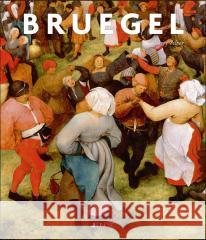 Bruegel Larry Silver 9788381449038