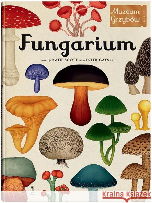 Fungarium. Muzeum Grzybów Gaya Ester 9788381501255