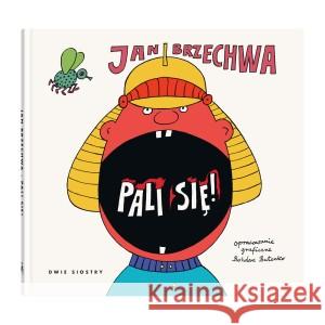 Pali się! BRZECHWA JAN, IL. BUTENKO BOHDAN 9788381502733