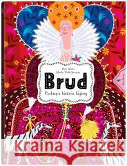 Brud. Cuchnąca historia higieny Piotr Socha, Monika Utnik-Strugała, Piotr Socha 9788381504607