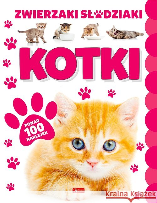 Kotki null null 9788381726603
