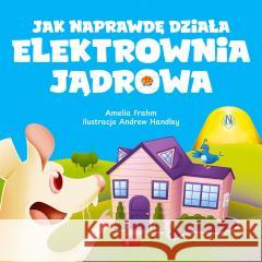 Jak naprawdę działa elektrownia jądrowa Amelia Frahm 9788381727532