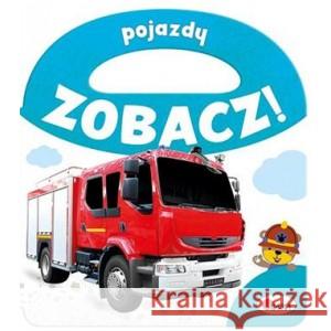 Zobacz Pojazdy PRACA ZBIOROWA 9788381812597