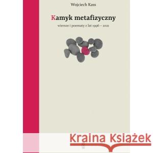 Kamyk metafizyczny Wojciech Kass 9788381963367