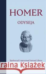 Odyseja Homer 9788381967945