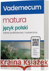 Matura 2025 Język polski Vademecum ZRiP Magdalena Steblecka-Jankowska, Renata Janicka-Szy 9788381973960