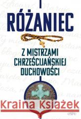 Różaniec z mistrzami chrześcijańskiej duchowości Michał Wilk 9788382013269