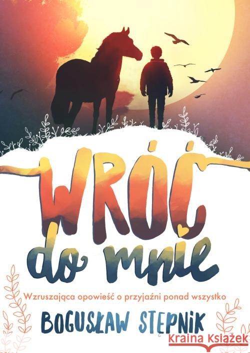 Wróć do mnie Stępnik Bogusław 9788382030242