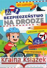 Bezpieczeństwo na drodze Sabina Grabias 9788382071375