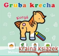 Gruba krecha. Kucyk Wydawnictwo Skrzat 9788382072105
