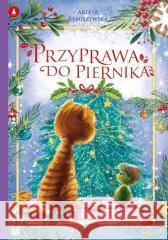 Przyprawa do piernika Arleta Remiszewska 9788382073324