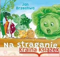 Na straganie Jan Brzechwa 9788382073386