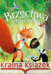 Brzechwa dzieciom Jan Brzechwa 9788382073614