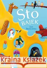 Sto bajek Brzechwy Jan Brzechwa 9788382073621