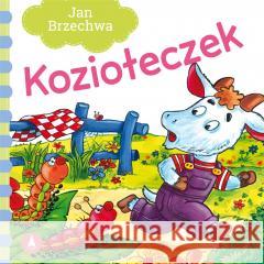 Koziołeczek Jan Brzechwa 9788382073928