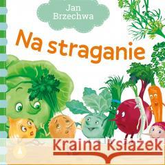 Na straganie Jan Brzechwa 9788382073935