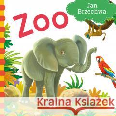 Zoo Jan Brzechwa 9788382073942