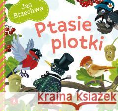 Ptasie plotki Jan Brzechwa 9788382074000