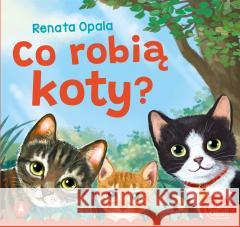 Co robią koty? Renata Opala 9788382074901