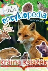 Mała encyklopedia. Zwierzęta leśne Monika Ślizowska 9788382075663