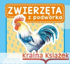 Zwierzęta z podwórka Wydawnictwo Skrzat 9788382075878
