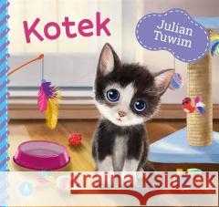 Kotek Julian Tuwim 9788382077162