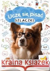 Uczę się pisać. Szlaczki Wydawnictwo Skrzat 9788382077353