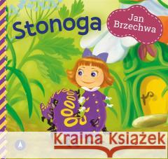 Stonoga Jan Brzechwa 9788382077360