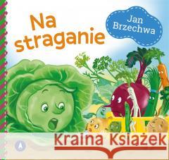 Na straganie Jan Brzechwa 9788382077391