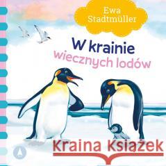 W krainie wiecznych lodów Ewa Stadtmuller 9788382077568