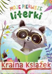 Moje pierwsze literki Wioleta Żyłowska 9788382077971
