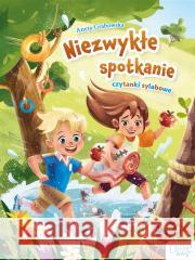 Niezwykłe spotkanie. Czytanki sylabowe Aneta Grabowska 9788382078718