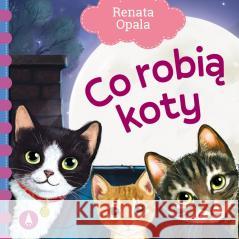 Co robią koty Renata Opala 9788382079333