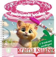 Zadanka & malowanki wodne. Kotki Wioleta Żyłowska 9788382079913