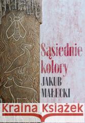 Sąsiednie kolory Jakub Małecki 9788382104981