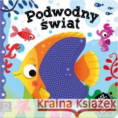 Zobacz, dotknij, poczuj! Podwodny świat Grażyna Wasilewicz 9788382131550